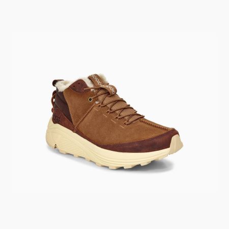 UGG Miwo Trainer High - Joggesko Herre - Brune (NO-I124)